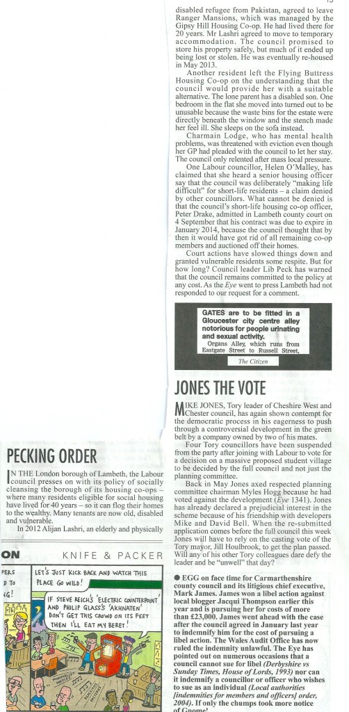 PrivateEye021013